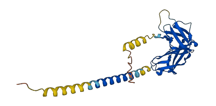 Fcgr3 3D structure