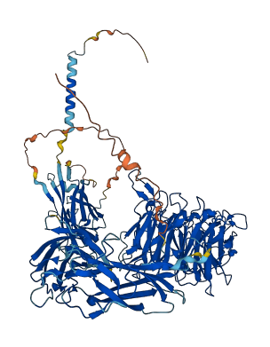 ITGA2B 3D structure