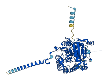 Ugt2b 3D structure