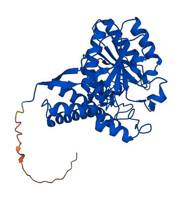 PDHA1 3D structure