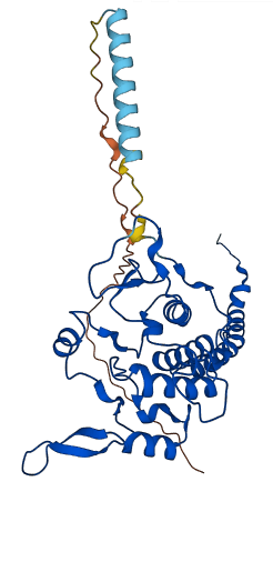 CYC1 3D structure