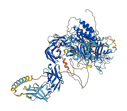 MET 3D structure