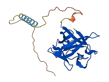 FGF4 3D structure