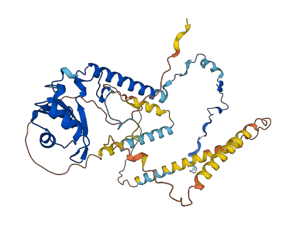 SNRNP70 3D structure