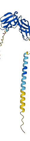 FCGR3A 3D structure