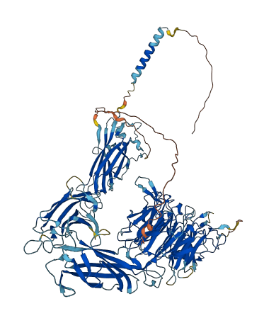 ITGA5 3D structure