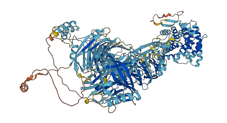 C4 3D structure