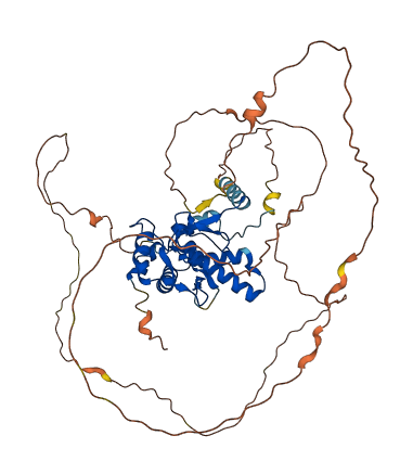 NFIC 3D structure