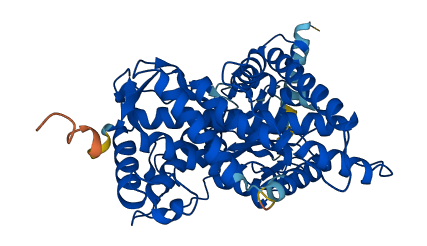 Cyp2c11 3D structure