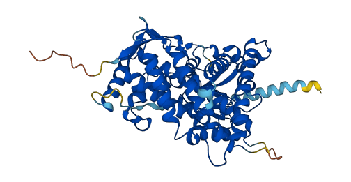 CYP21A2 3D structure