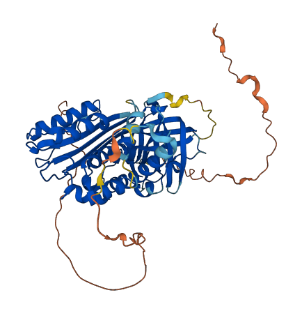 SERPINF2 3D structure