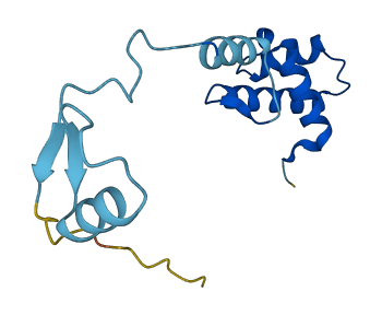 RPS17 3D structure