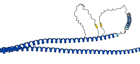 KRT19 3D structure