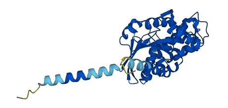 GNAI3 3D structure