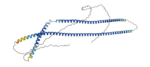 KRT16 3D structure