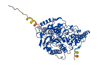 STS 3D structure