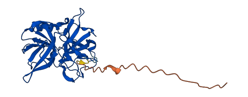 CELA3B 3D structure