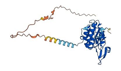 RPSA 3D structure
