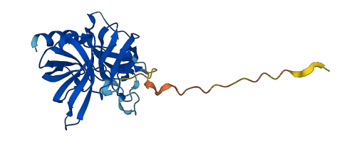 Gzmc 3D structure