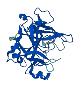 Gzmf 3D structure