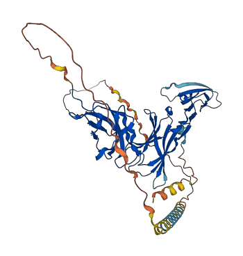 IL6R 3D structure
