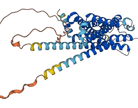 HTR1A 3D structure