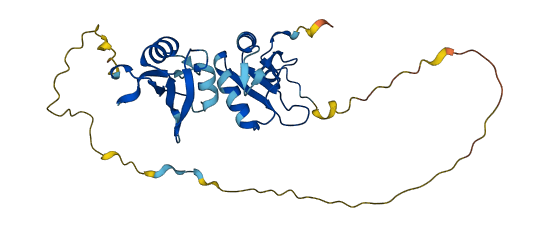 SNRPA 3D structure