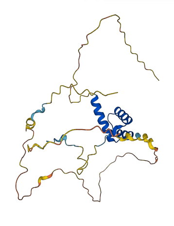 HOXD4 3D structure