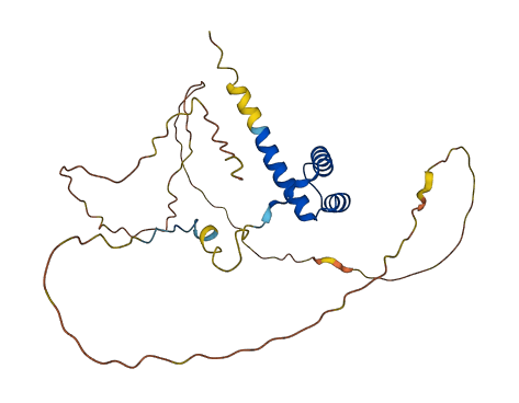 HOXB5 3D structure