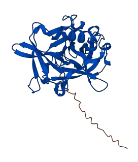CELA3A 3D structure