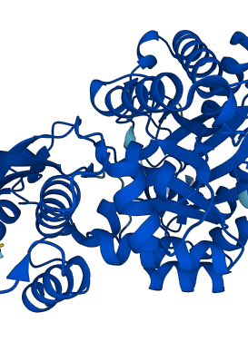 ENO2 3D structure
