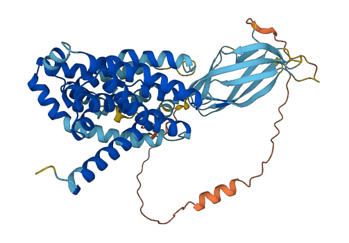 SLC10A3 3D structure