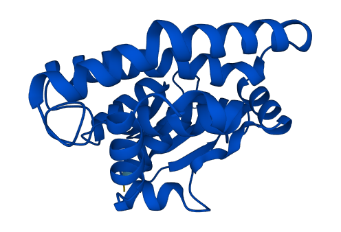 GSTA2 3D structure