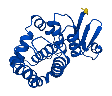 GSTP1 3D structure