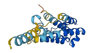 Ifna9 3D structure