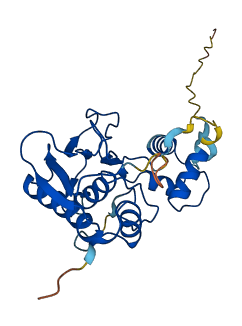 MMP7 3D structure