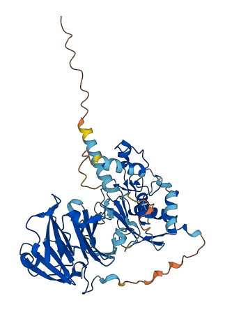 MMP10 3D structure