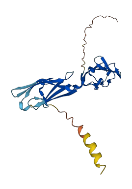 CD48 3D structure