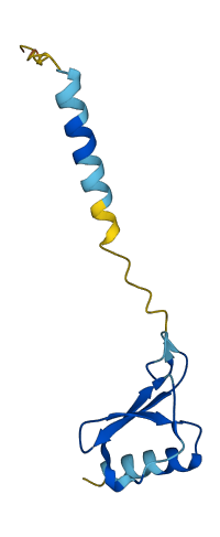 CXCL1 3D structure