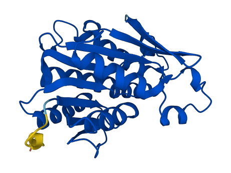 QDPR 3D structure