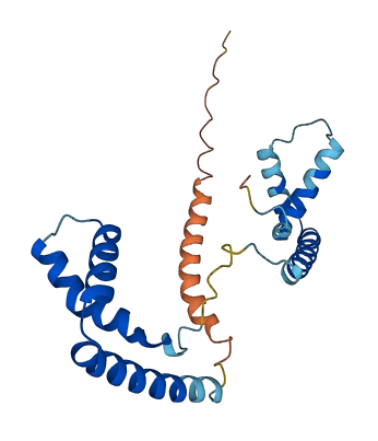 HMGB1 3D structure