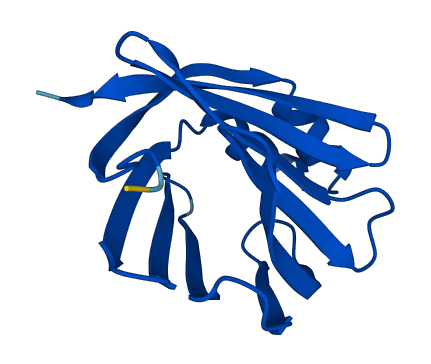 RBP1 3D structure