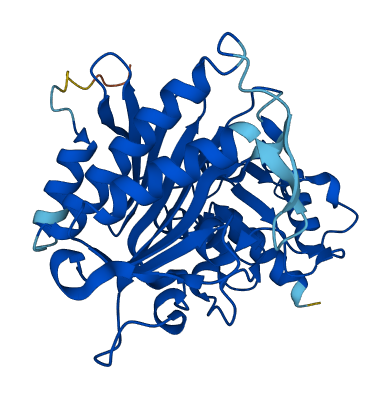 FBP1 3D structure