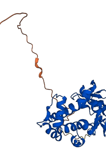 SPARC 3D structure