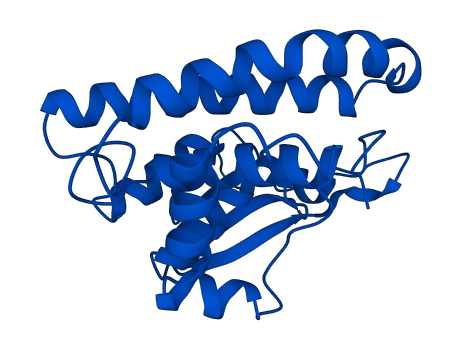 GSTM1 3D structure