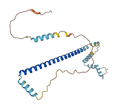 CLTA 3D structure