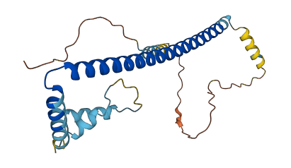 CLTB 3D structure