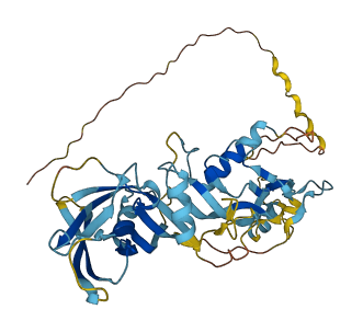 INHBB 3D structure