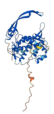 WNT2 3D structure