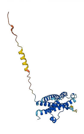 Prl3b1 3D structure